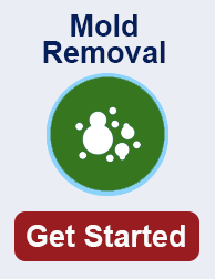 mold remediation in Euless TN